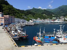 울릉도 배편 시간표