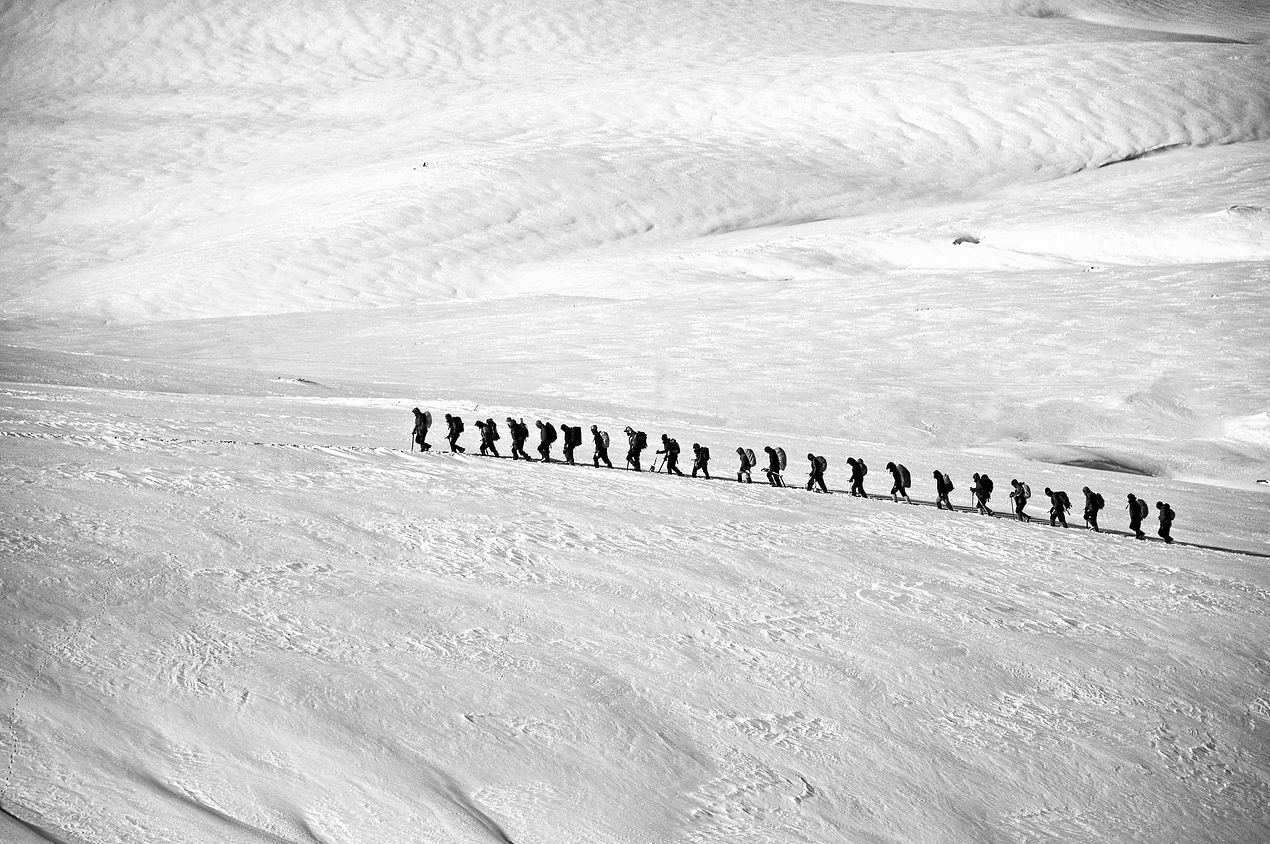 영화 투모로우 관련 이미지