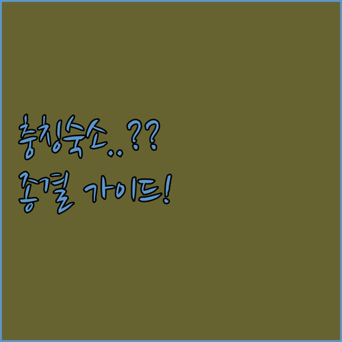 중국 충칭 여행 숙소 예약 가이드 시..