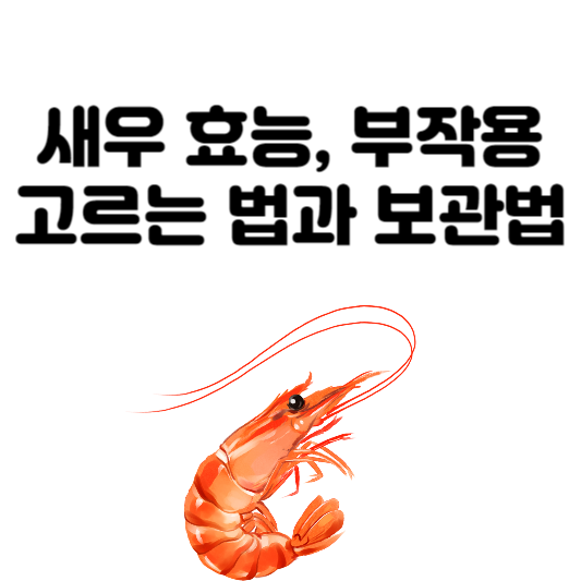새우의 효능과 부작용&#44; 고르는 법
