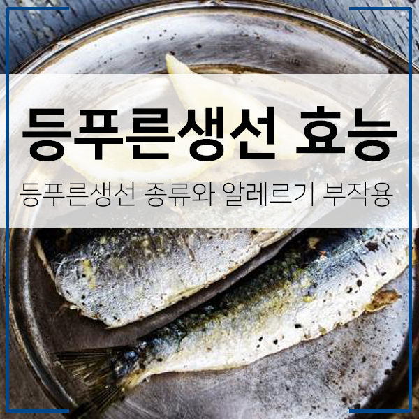 등푸른생선 효능 썸네일