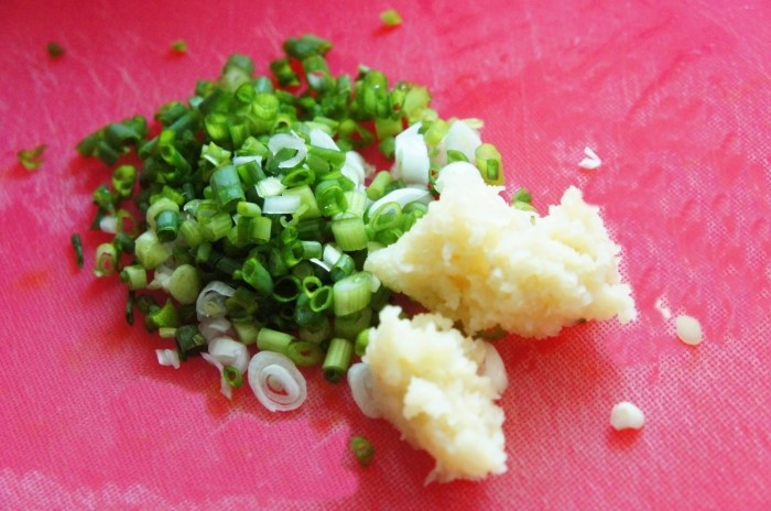 매실 흑매실 효능 매실짱아찌 매실청 만드는법