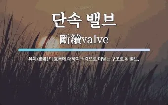 금수 뜻 유래 한자 비슷한 말 예문 영어 속담 반대말_19