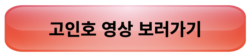 강철부대 시즌3 부대 참여부대 부대원 출연진 방송정보