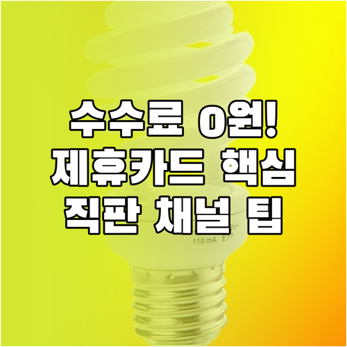 제휴 카드와 공연 직판 채널 활용한 ..