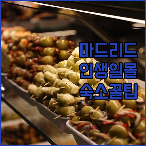 마드리드 시청 전망대 예약 방법과 일..