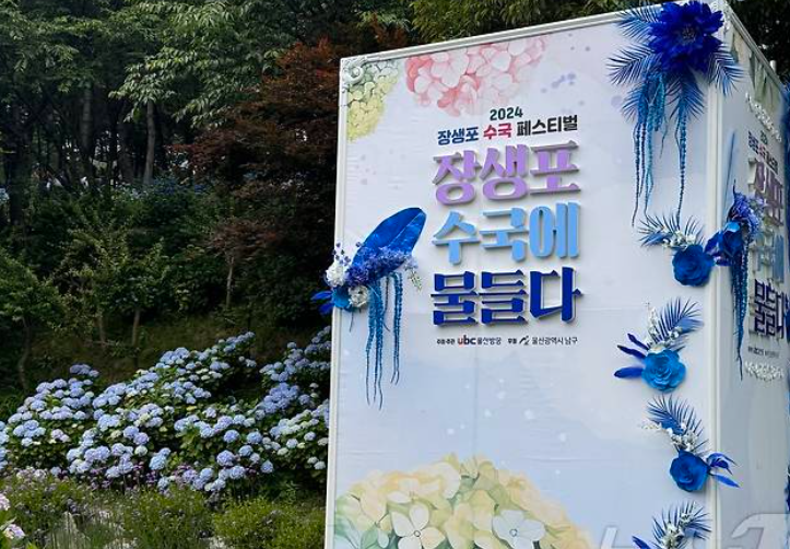 2024 울산 장생포 수국축제 입장료 불꽃쇼 주차장 가는길