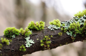 디즈니런 서울 2025 놓치면 후회하는 정보 12