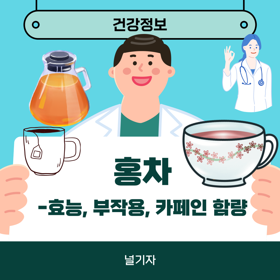 홍차 효능과 부작용 카페인 함량