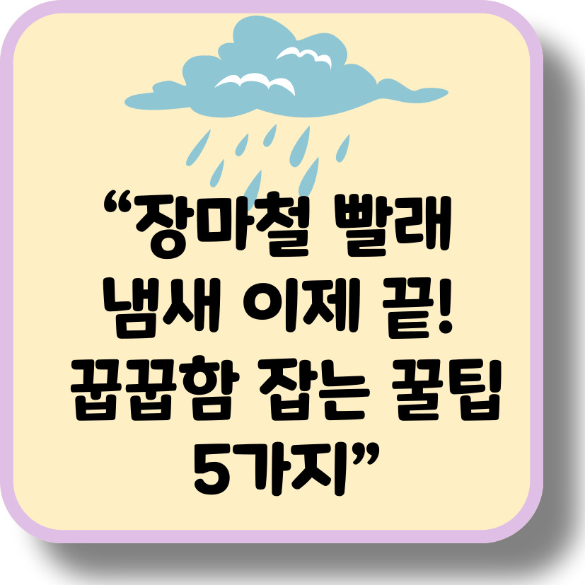 장마철 빨래 꿉꿉함 없애는 꿀팁 5가지 &ndash; 냄새 제거와 건조법 총정리