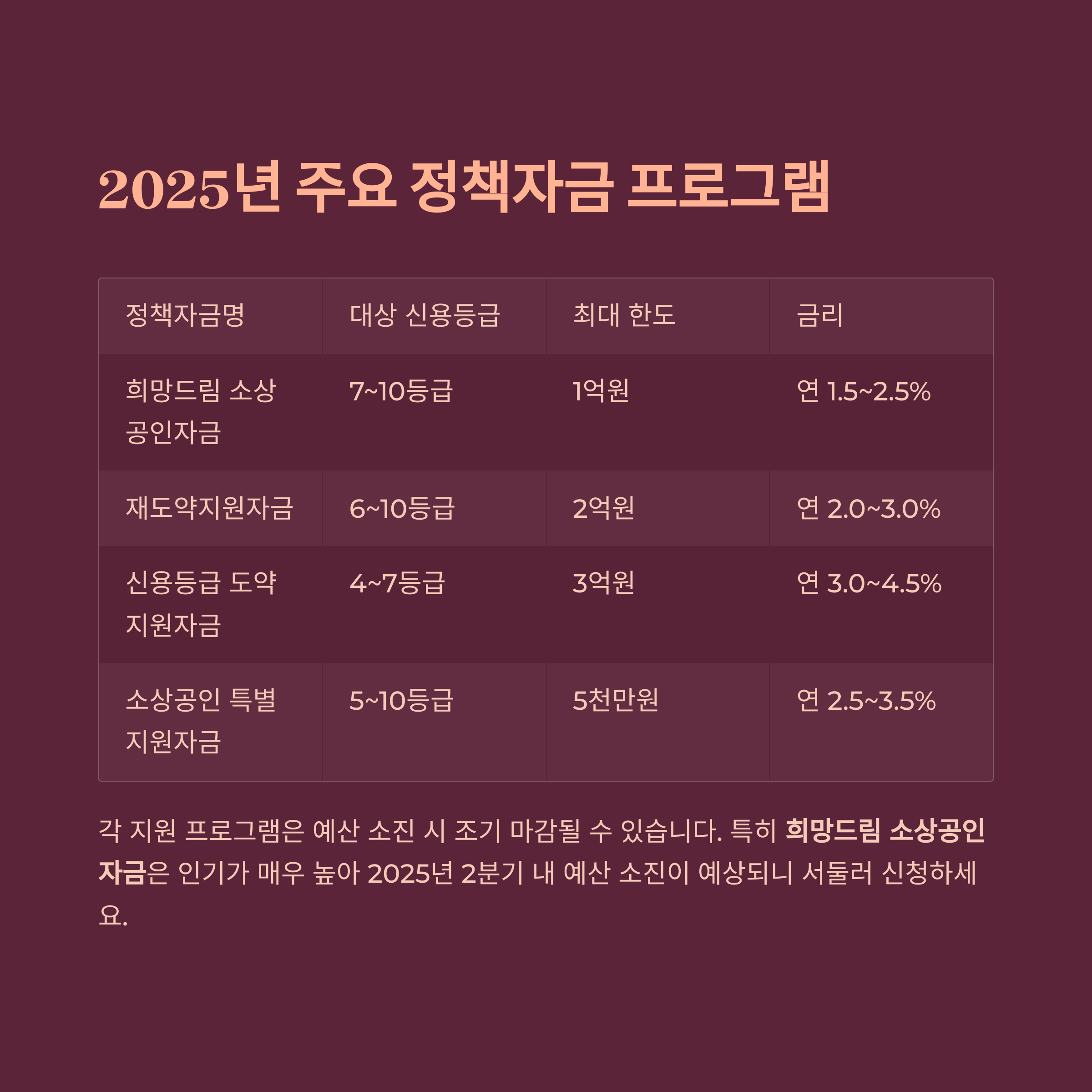 2025년 주요 중저신용