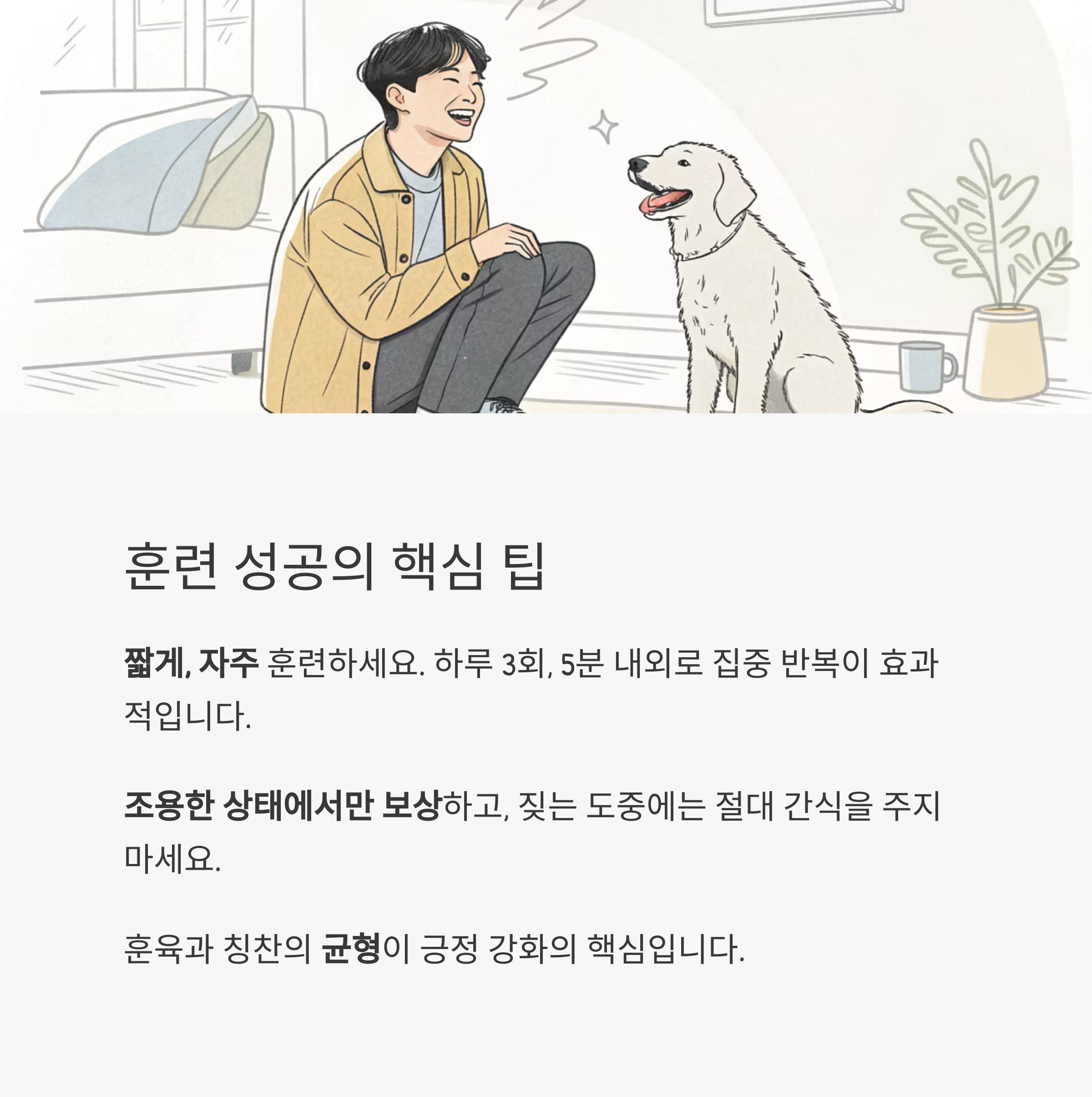 훈련 성공의 핵심 팁