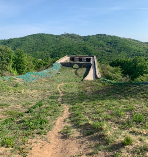 남장대 터