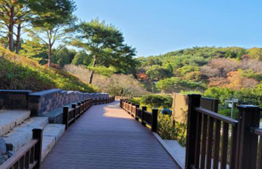 안면도 자연휴양림