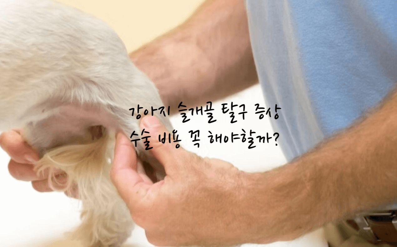 강아지 슬개골 탈구 증상