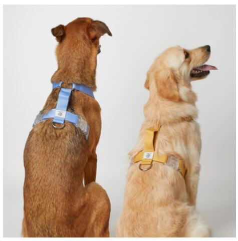 2024 크리스마스 서울 펫쇼 사전등록 입장료 주차 안내