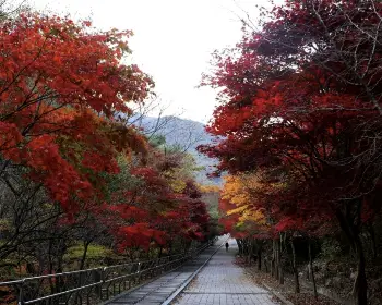 대둔산_11