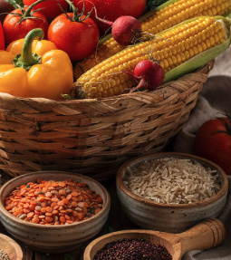 식이섬유 콜레스테롤 관리에 도움