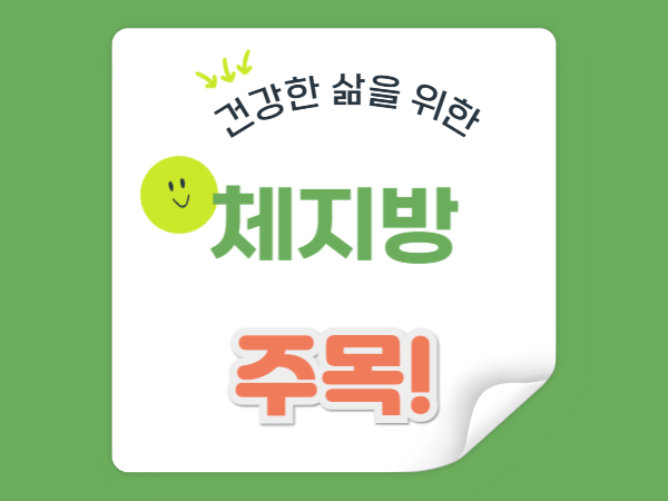 체지방률 표, 정상 범위는? 전문가가 알려주는 진짜 기준