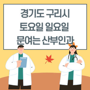 경기도 구리시 토요일 일요일 산부인과 진료 문여는 병원 리스트