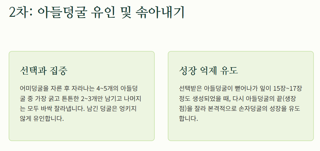 참외 순치기 방법