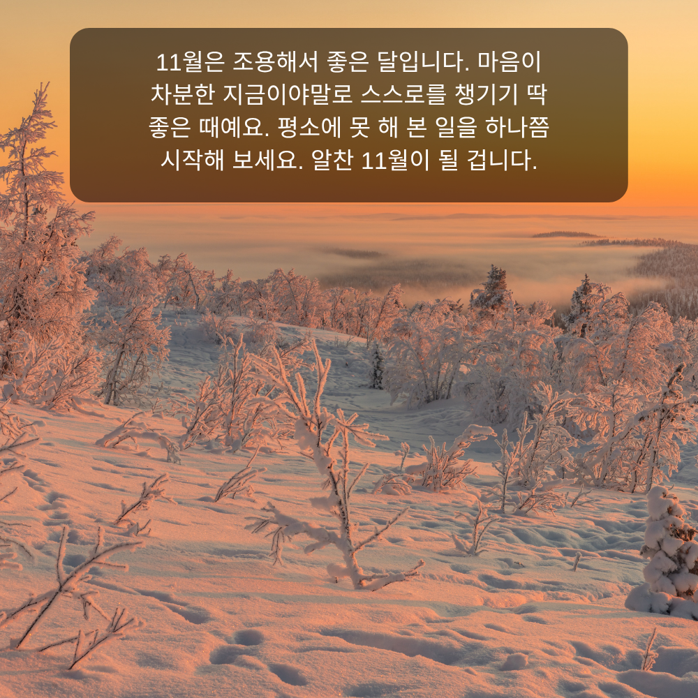 11월 인사말 29 차분한 11월 자기 돌봄 인사말 이미지