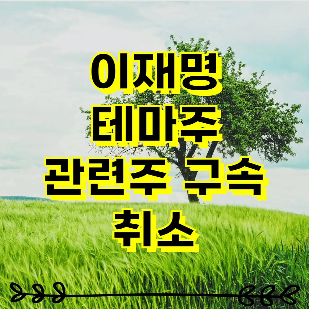 이재명 테마주 관련주 구속 취소