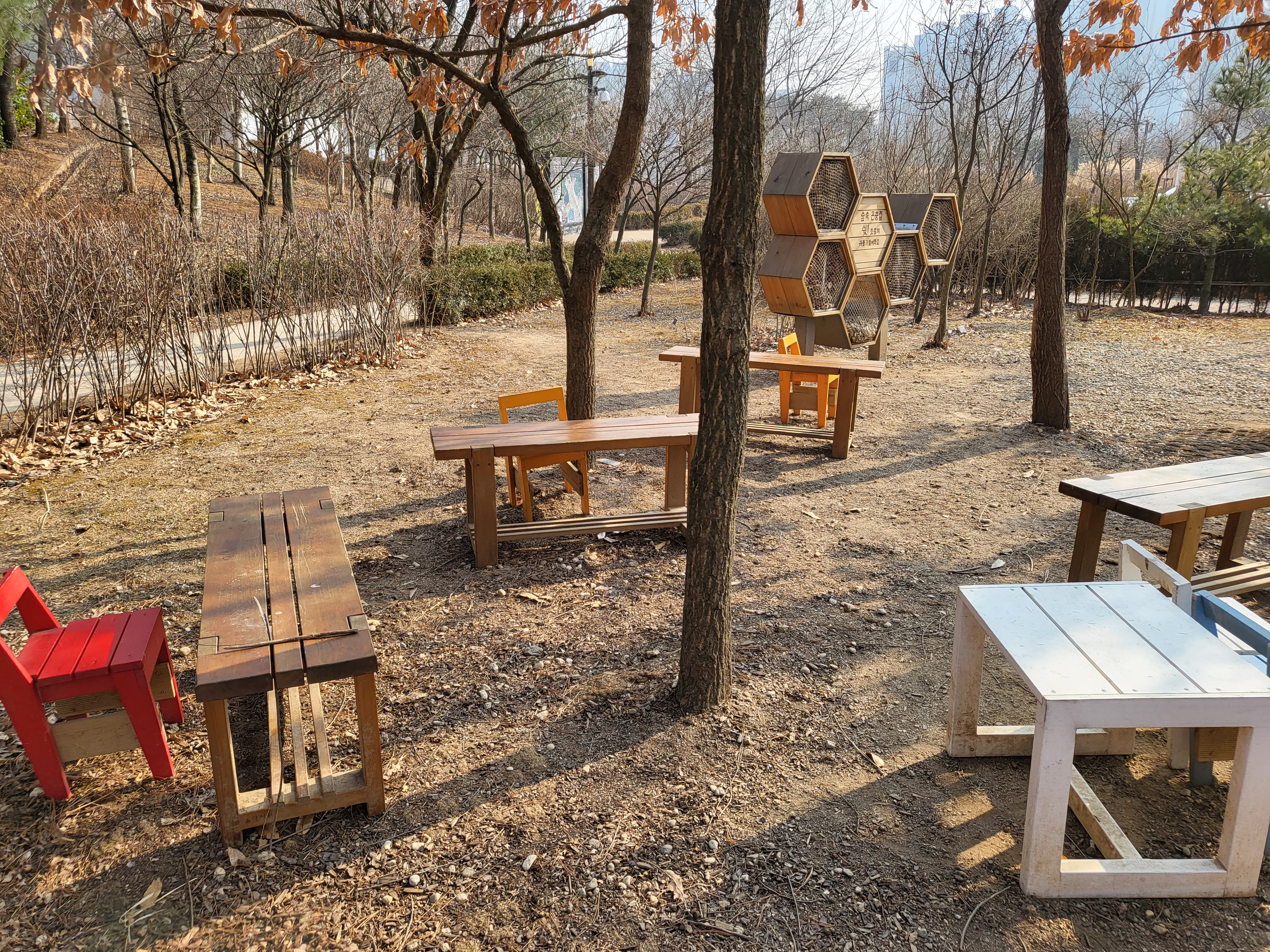 푸른수목원