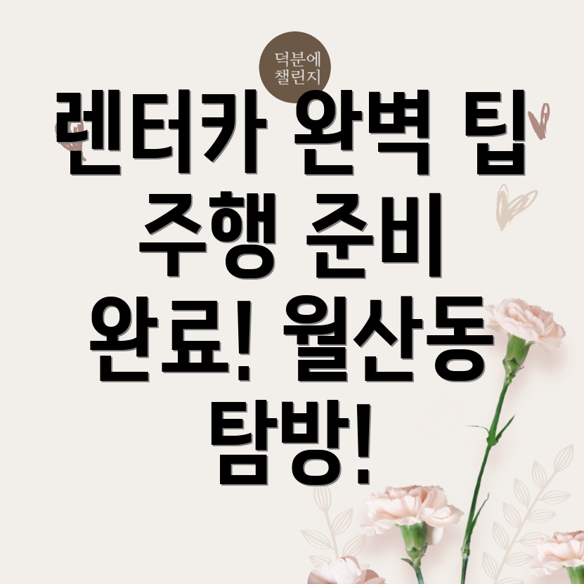광주 단기렌터카 비용