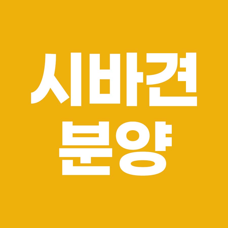 시바견 분양 가격