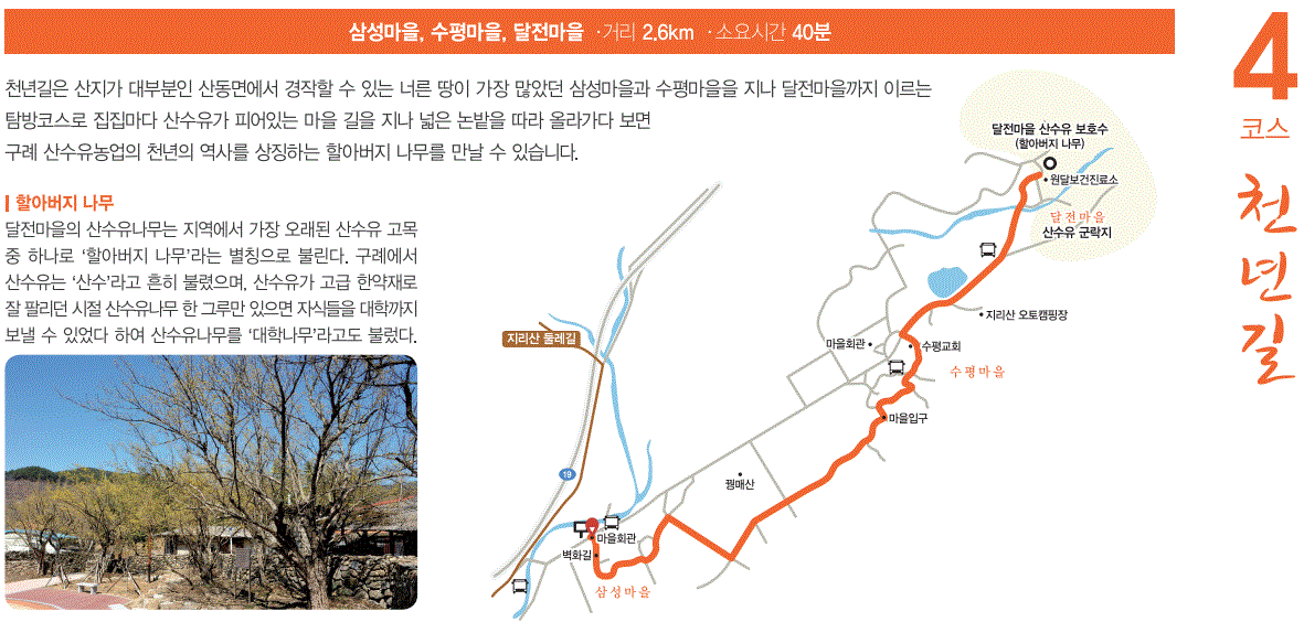 24년 구례 산수유꽃축제 주차 개막공연 일정 CCTV