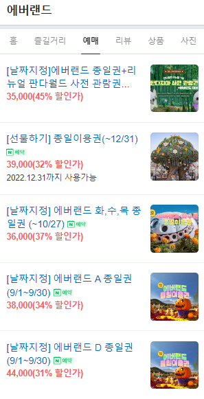 에버랜드 오후권 에버랜드 자유이용권 에버랜드 종일권 할인