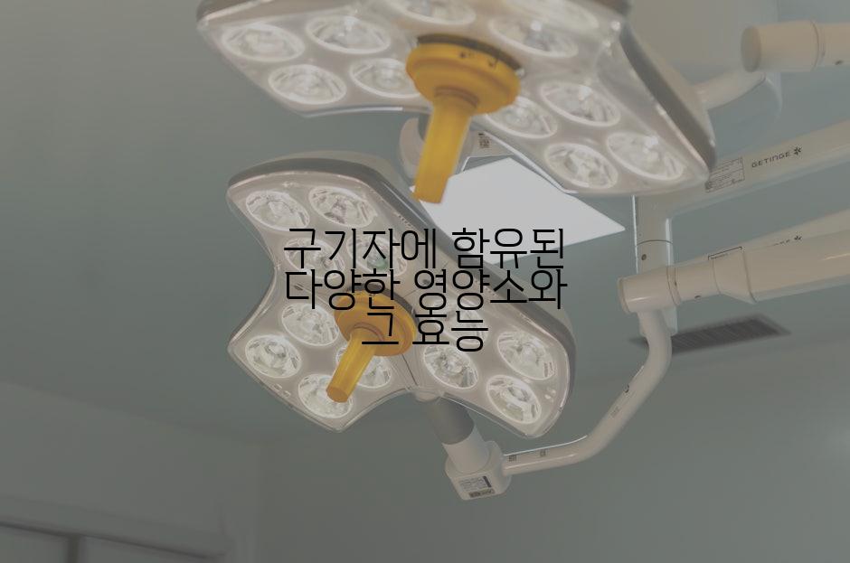 구기자에 함유된 다양한 영양소와 그 효능