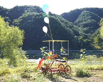 평창 백일홍 축제_17