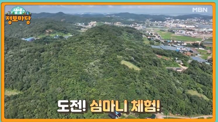 이건뭐고 심마니 체험 모델 최삼근 발견 산속 대물 약초 산도라지, 산더덕, 칡, 겨우살이, 천마, 하수오, 산삼, 송이, 능이 문의 추천