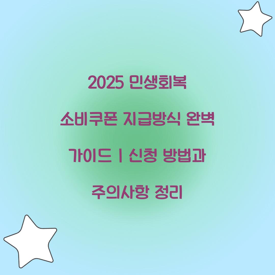 2025 민생회복 소비쿠폰 지급방식