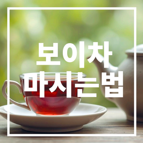 보이차 마시는 법