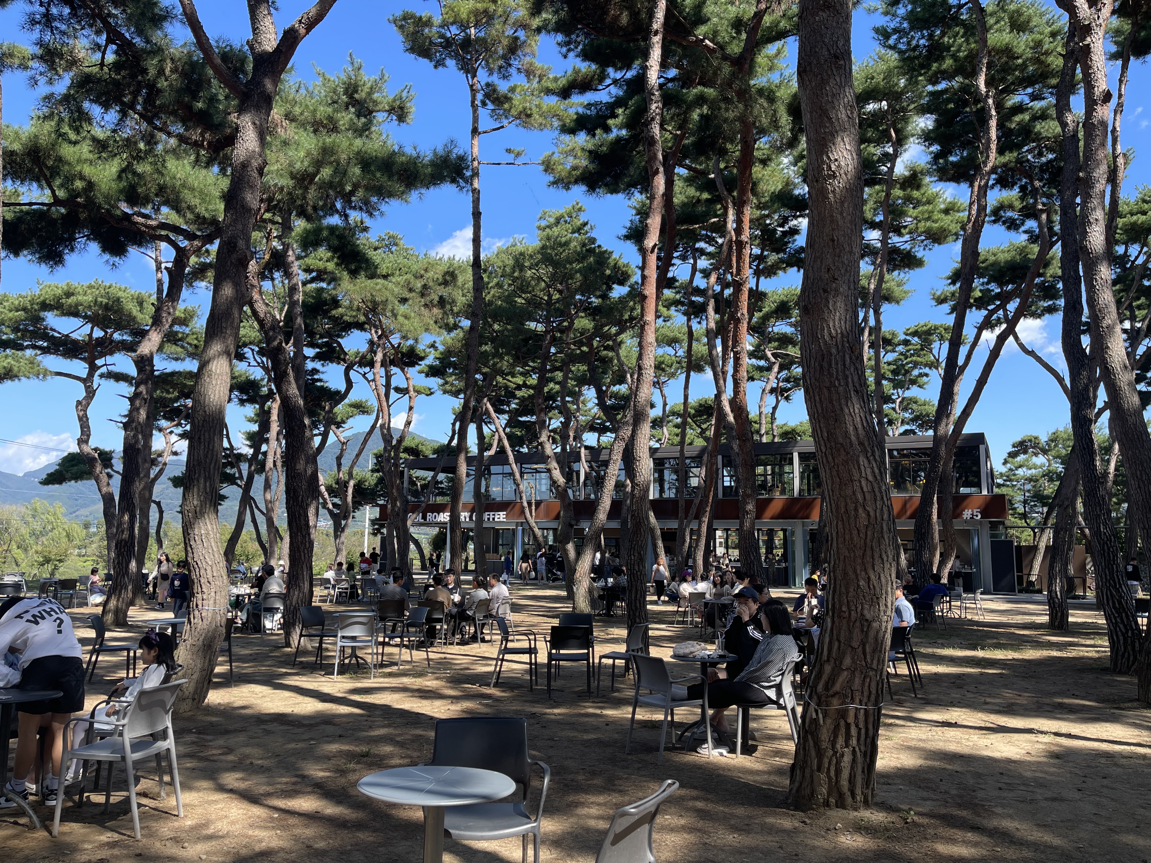 춘천 소울 로스터리 카페