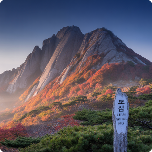 2025년 단풍 절정 시기 – 강원·경상 단풍 명소 가상 이미지