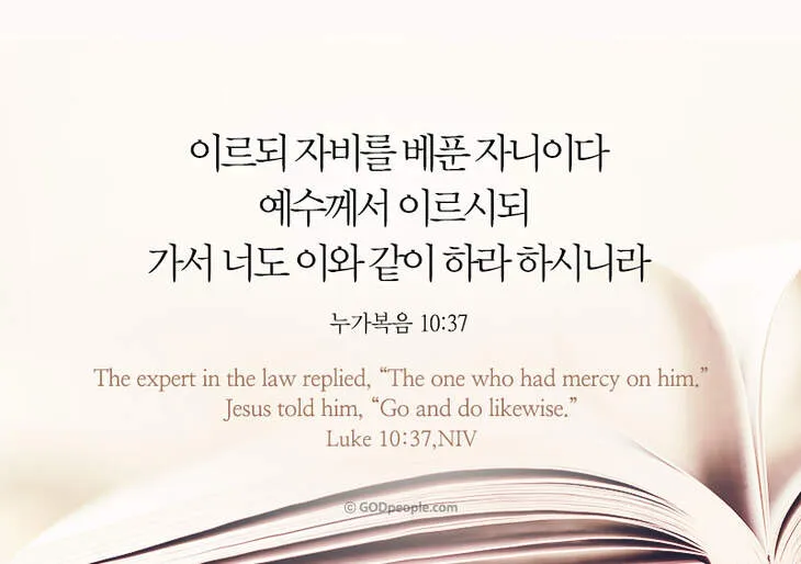 매일성경묵상과 실천(누가복음 10장 25-42절) 누가 내 참된 이웃입니까?_6
