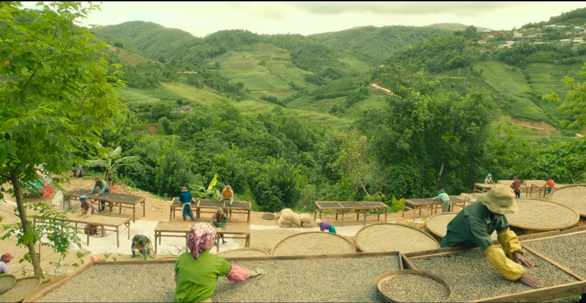 [커피 영화 추천] 커피 오어 티