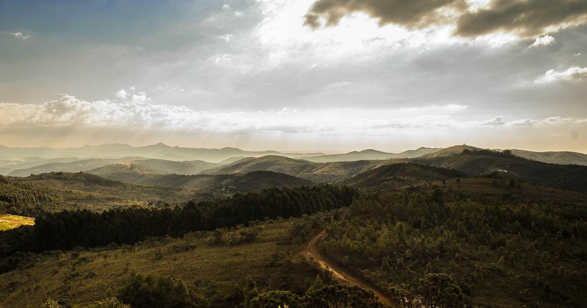 person quickly summarizing documents with AI tool on laptop, surrounded by piles of paper