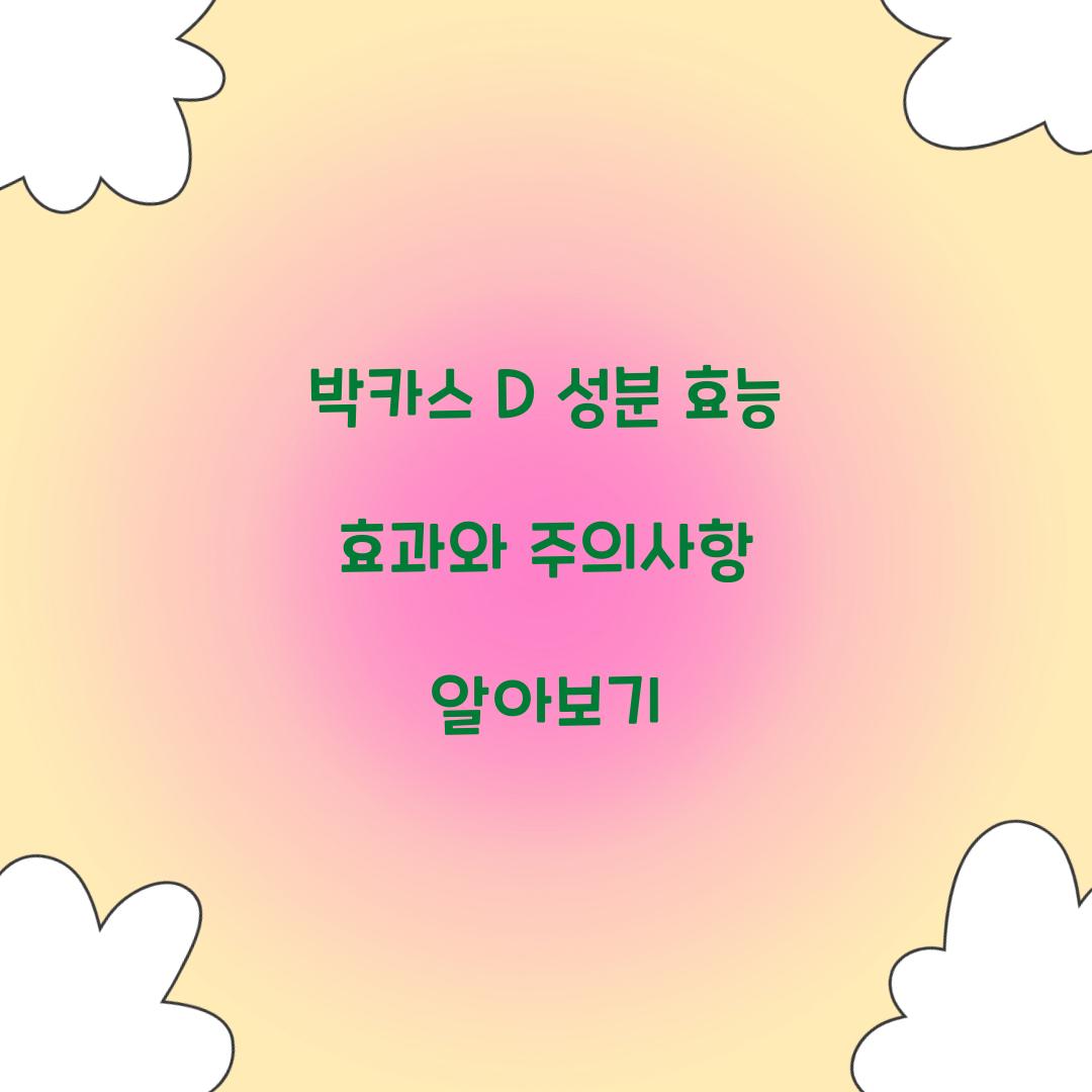 박카스 D 성분 효능