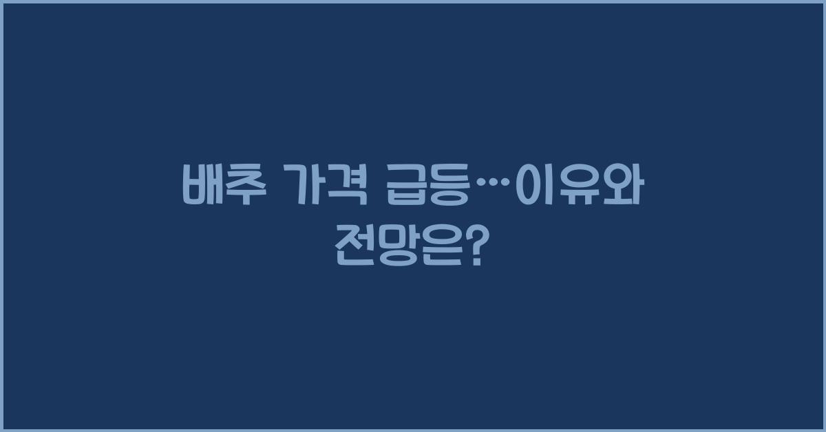 배추 가격