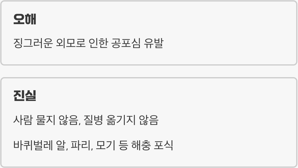 돈벌레, 나쁜 벌레일까? (오해와 진실)