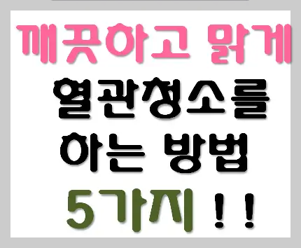 혈관청소-5가지방법