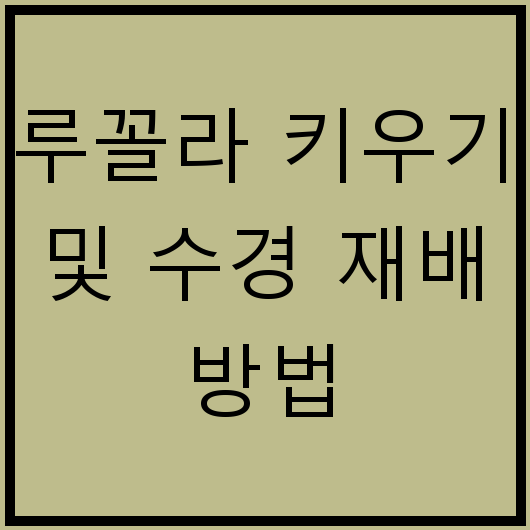 루꼴라 키우기 및 수경 재배 방법