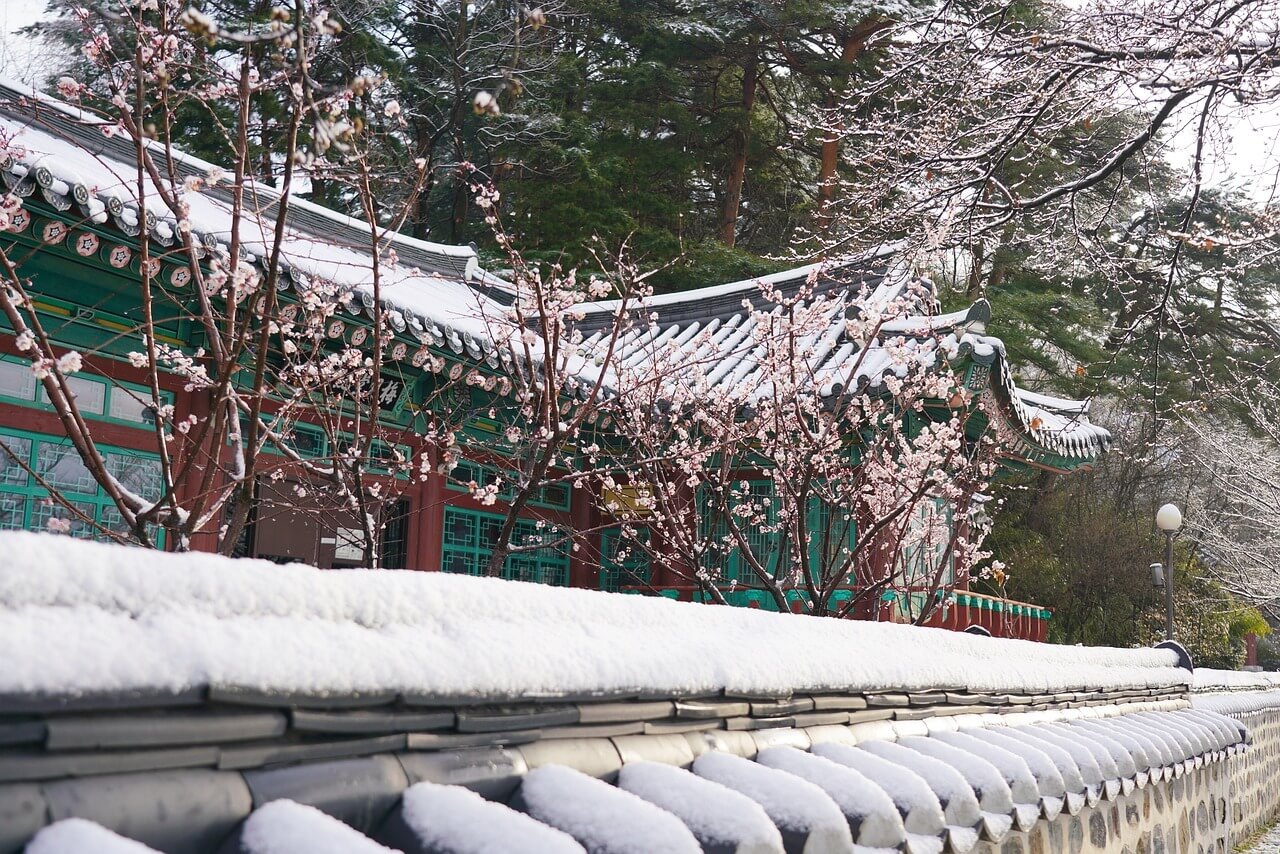 2025년 동지 날짜와 의미