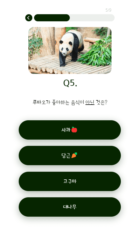 푸바오 덕후력 테스트 