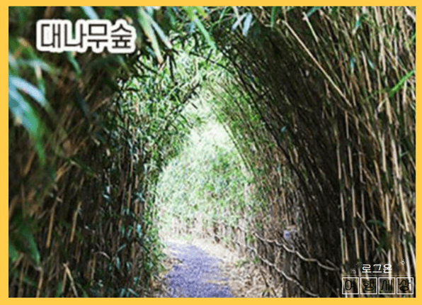 비양도 배 예약